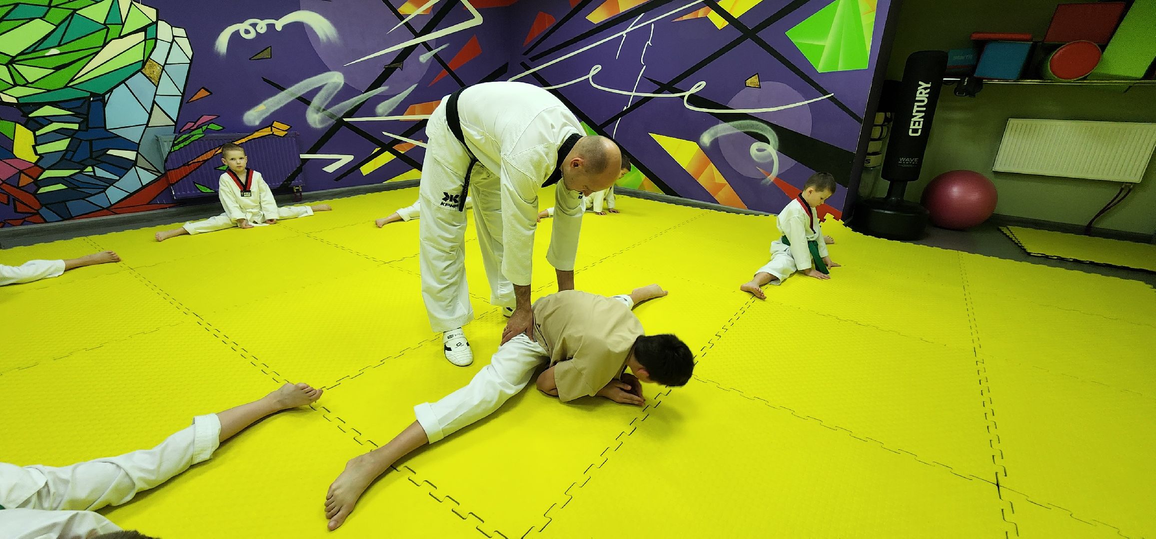 Истра, Спорт, Тхэквондо ,