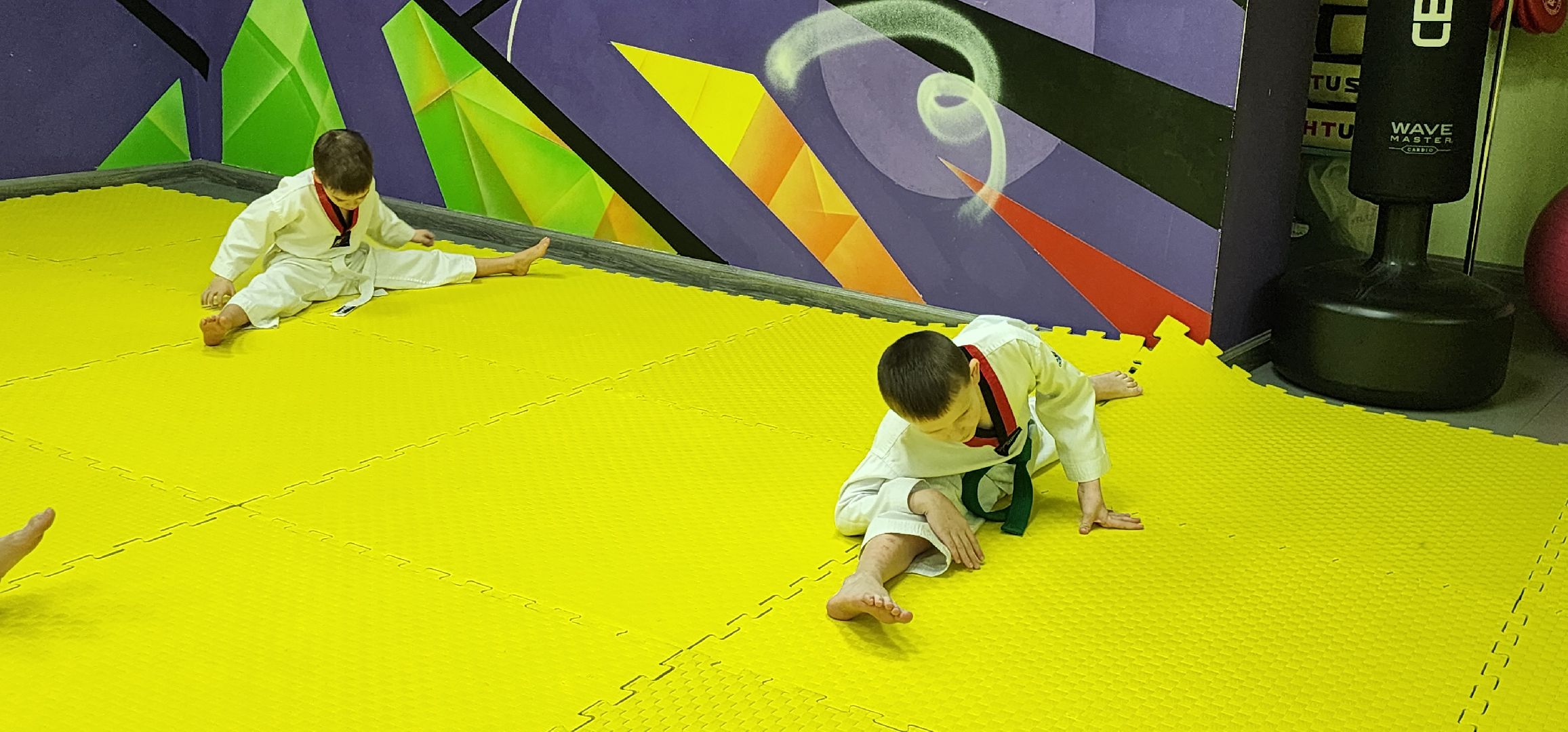 Истра, Спорт, Тхэквондо ,