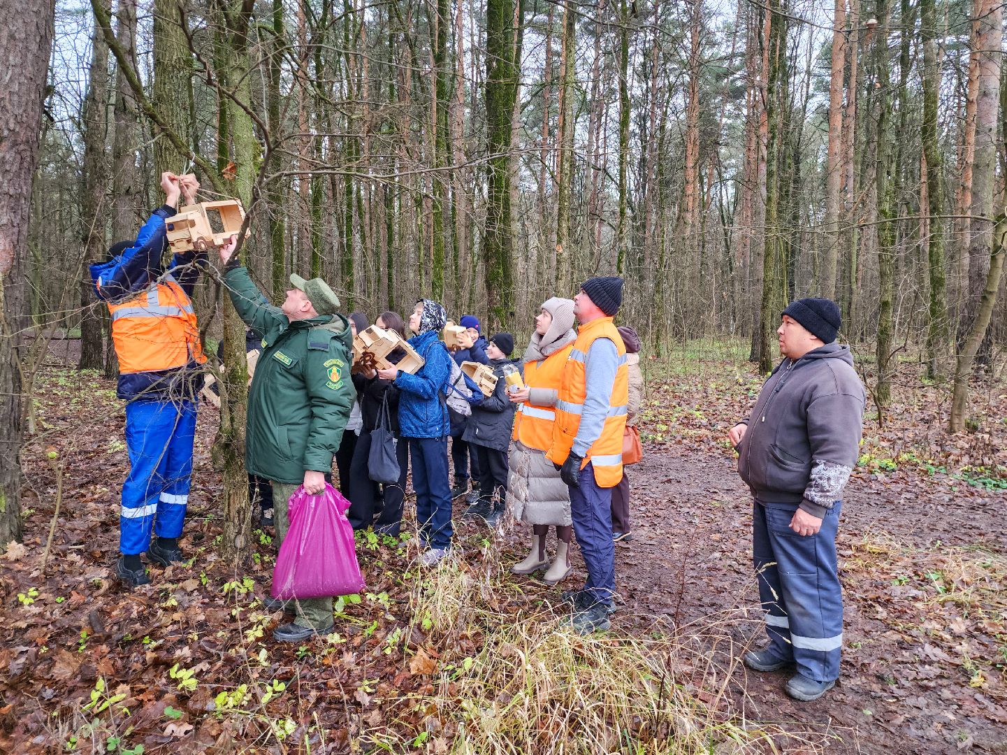 Подольск, лес, кормушки для птиц, школьное лесничество, подольское лесничество,