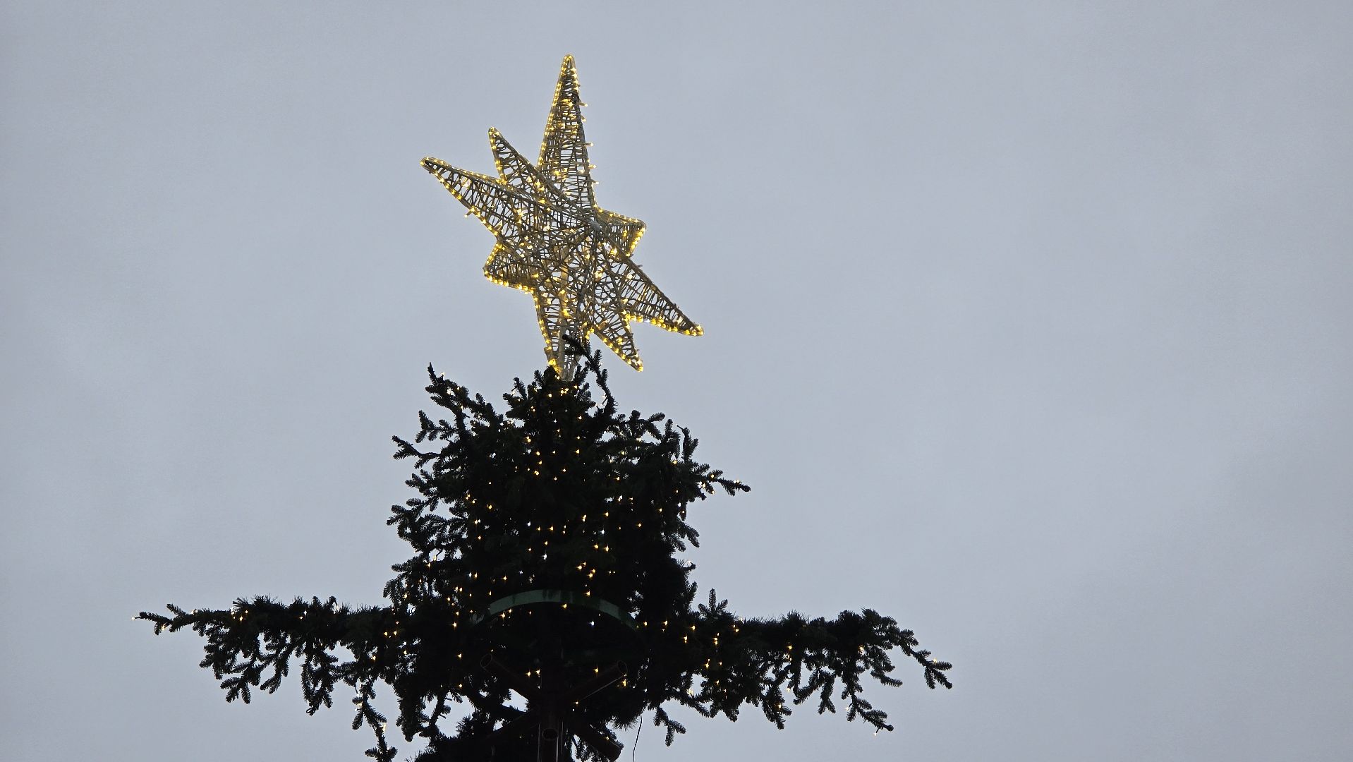 Коломна, подготовка к новому году, новогодняя елка, зима в подмосковье,