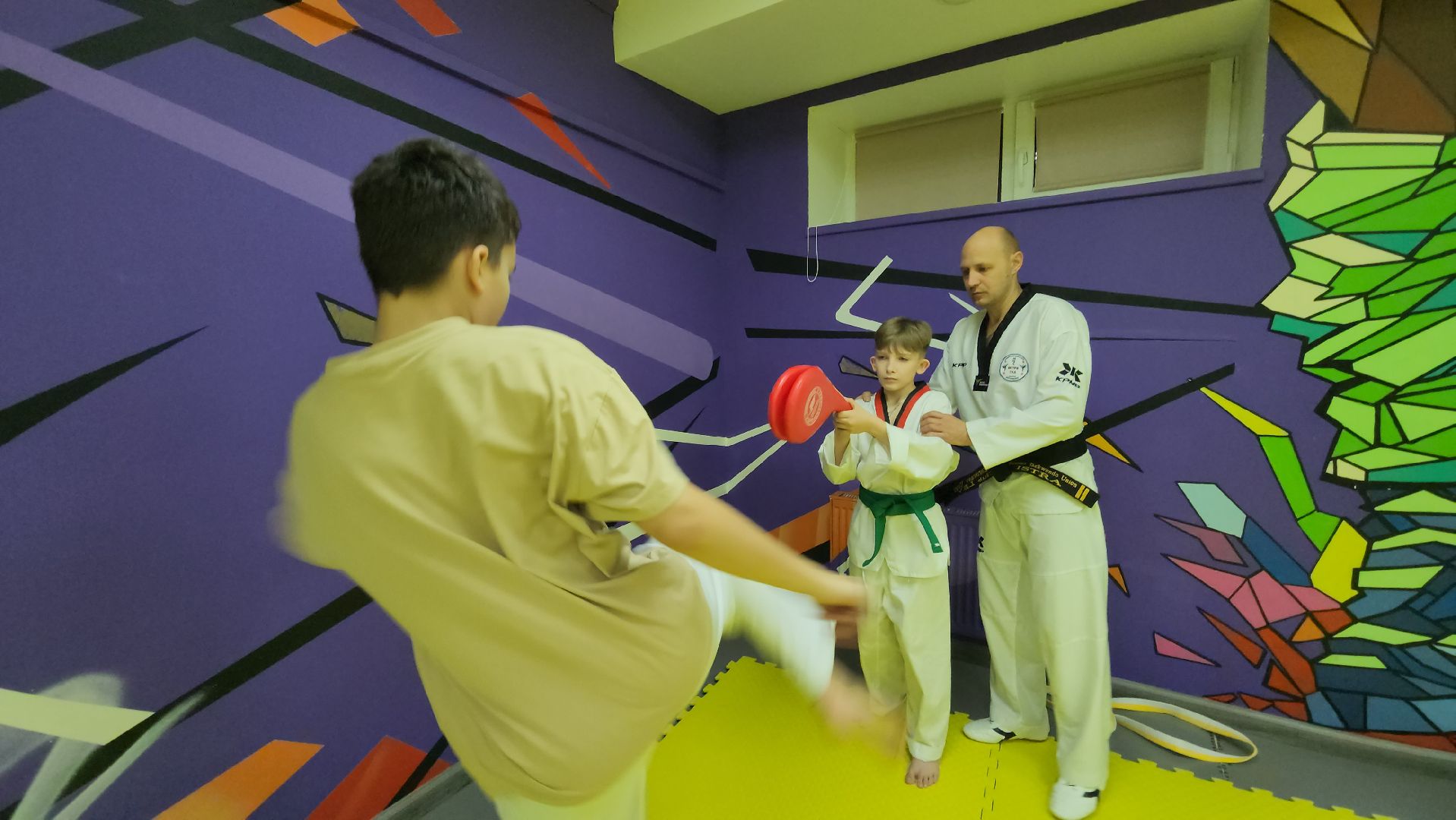 Истра, Спорт, Тхэквондо ,