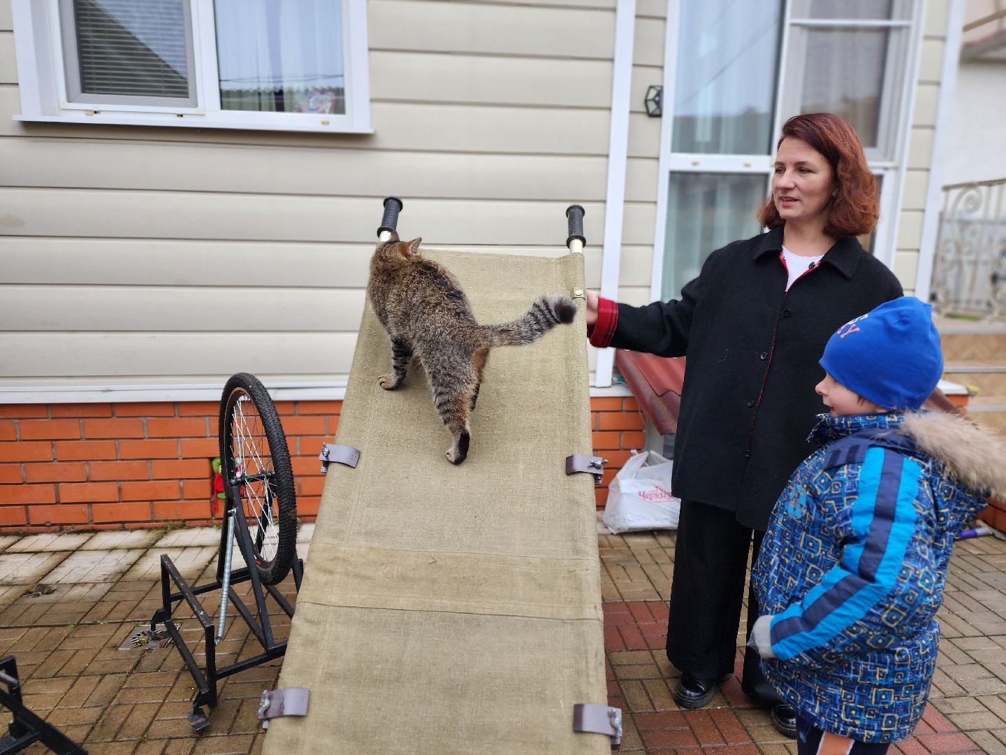 пушкинский городской округ,группа мир, волонтерская деятельность, доброволец, помощь в зону сво, эвакуационные тележки, день волонтера,