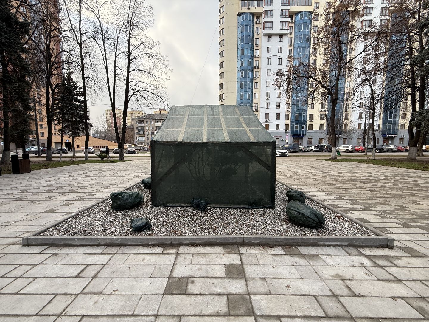 Реутов, Сквер , Бонсай , Зима,