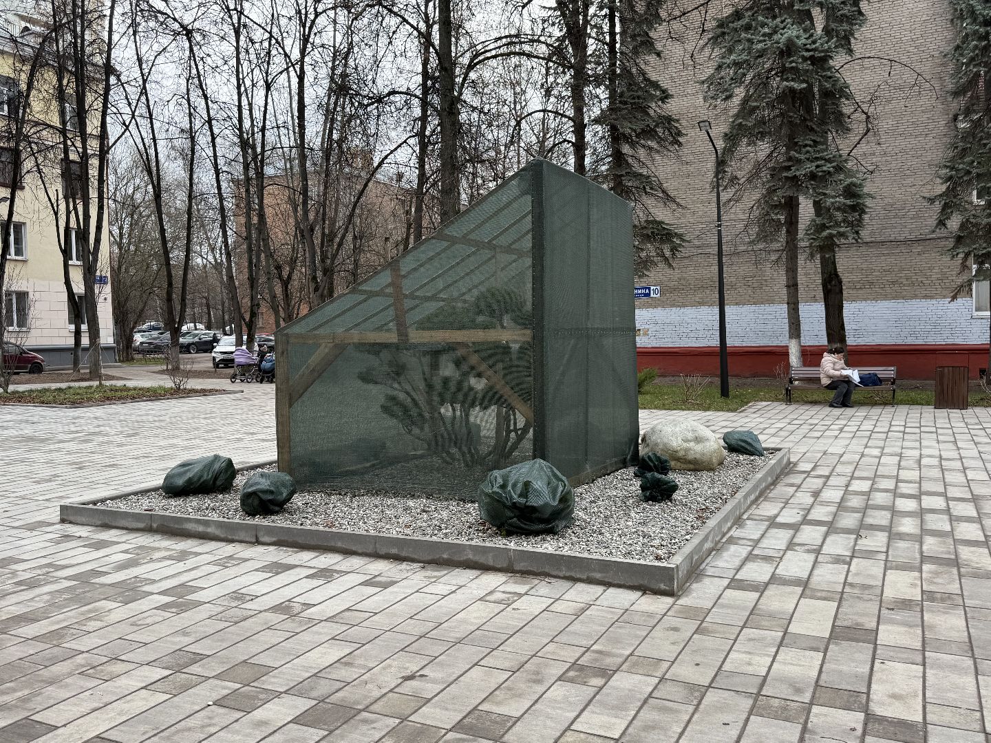 Реутов, Сквер , Бонсай , Зима,