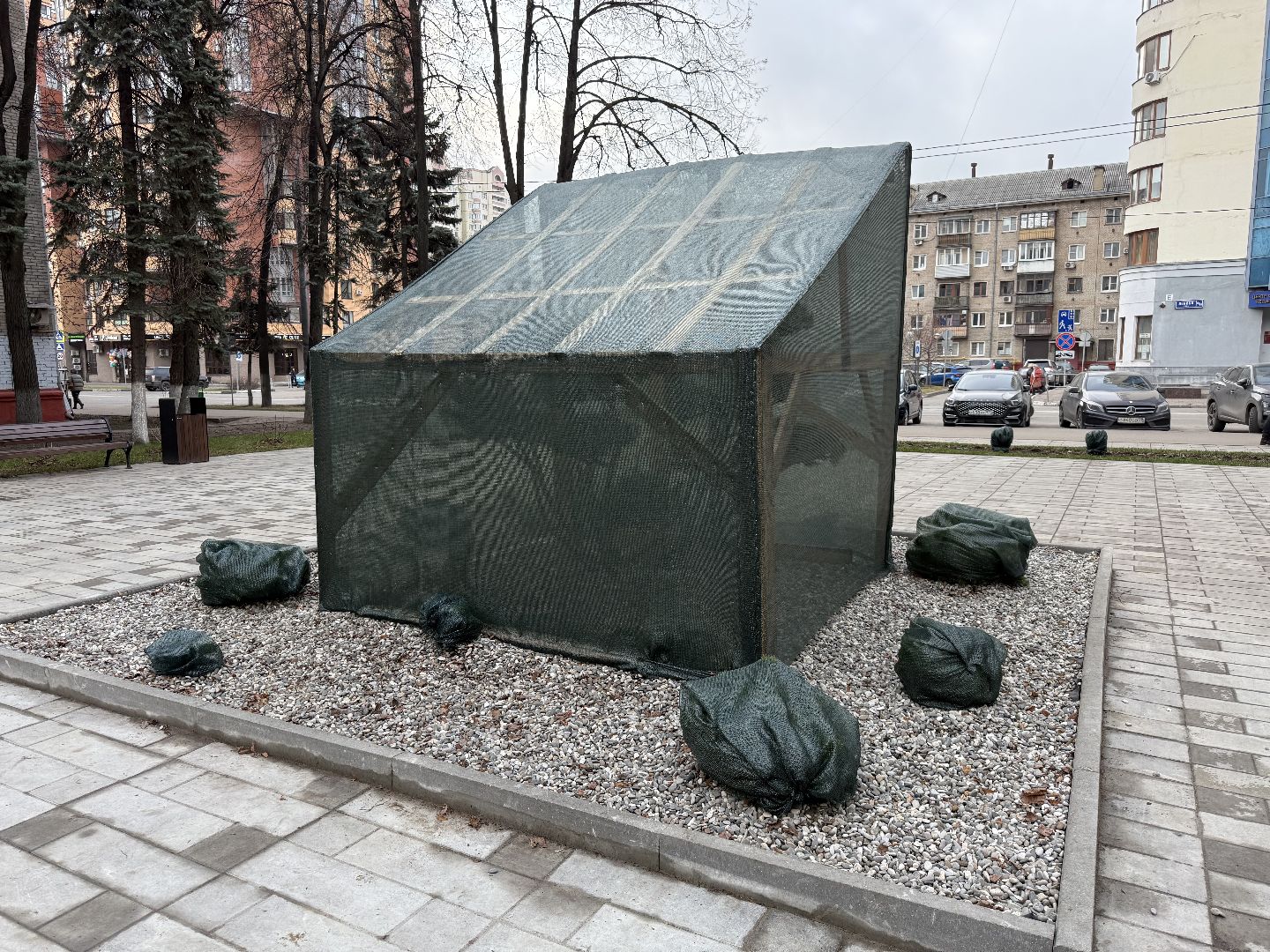 Реутов, Сквер , Бонсай , Зима,