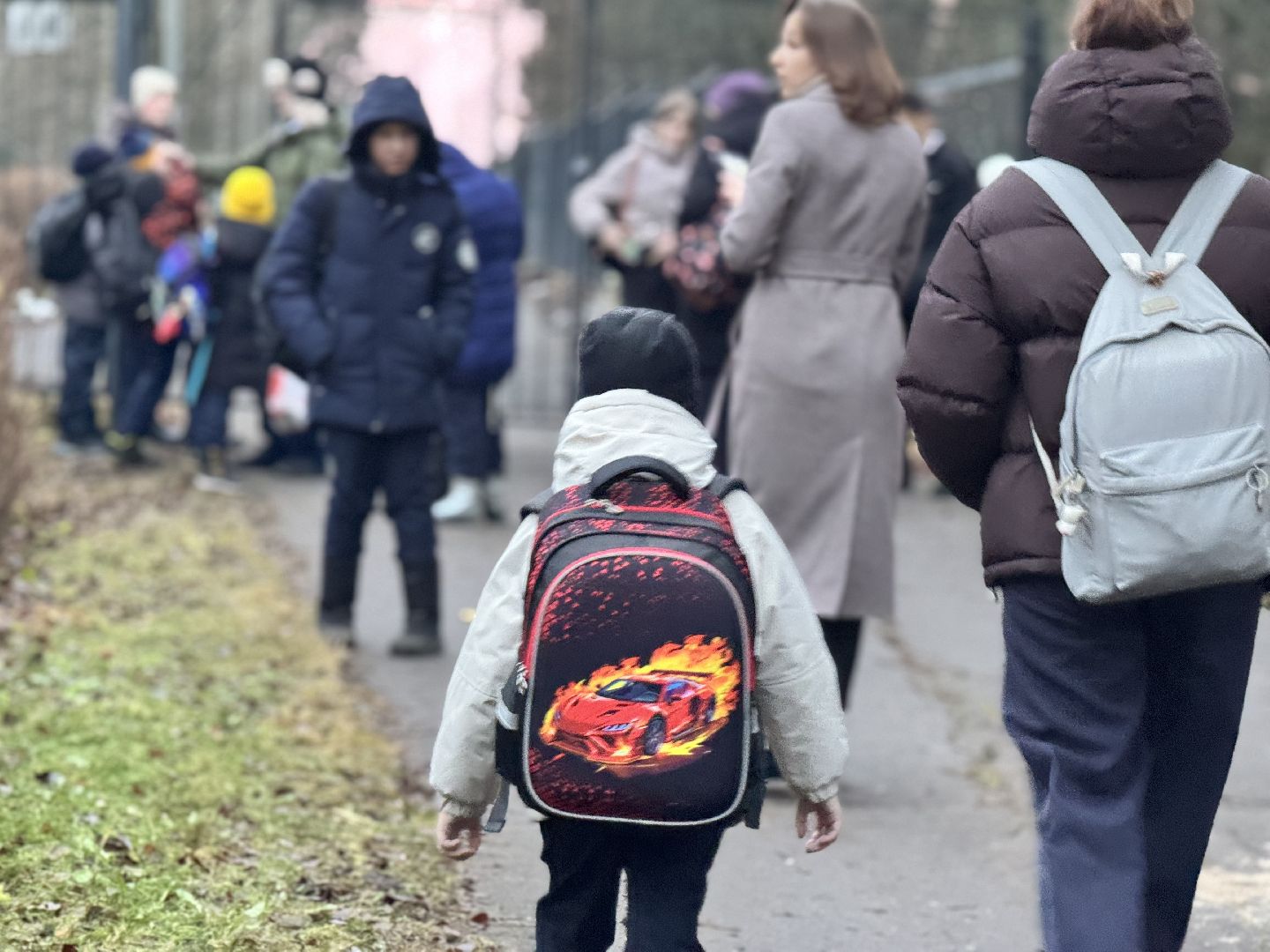 шаховская, новый автобус, новый школьный автобус,