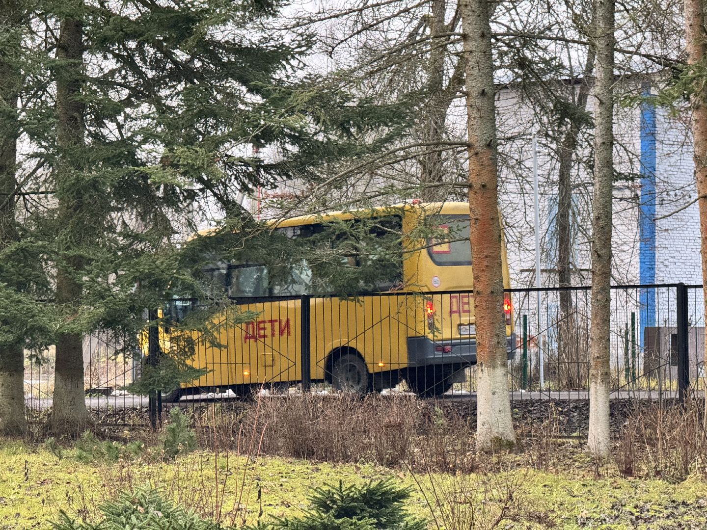 шаховская, новый автобус, новый школьный автобус,