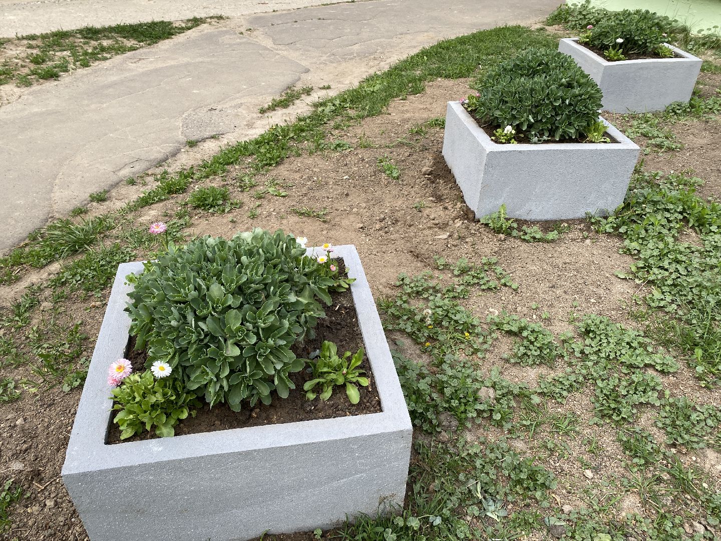 Чехов, клумбы, вазоны, ЖКХ, МКД, жители