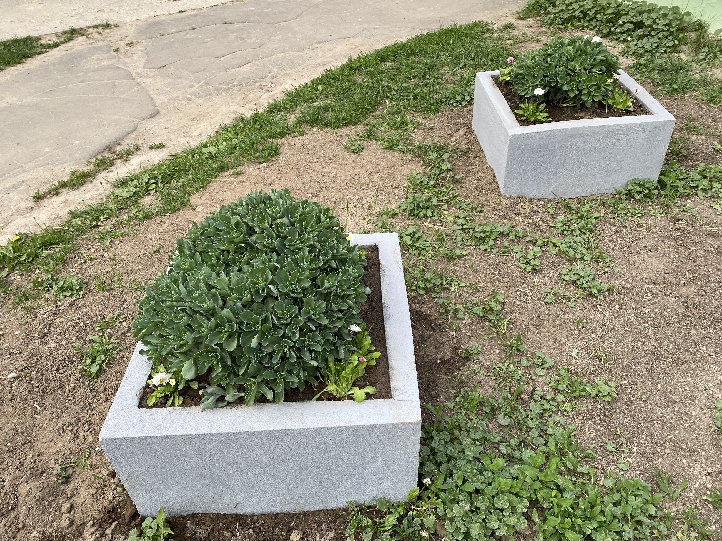 Чехов, клумбы, вазоны, ЖКХ, МКД, жители