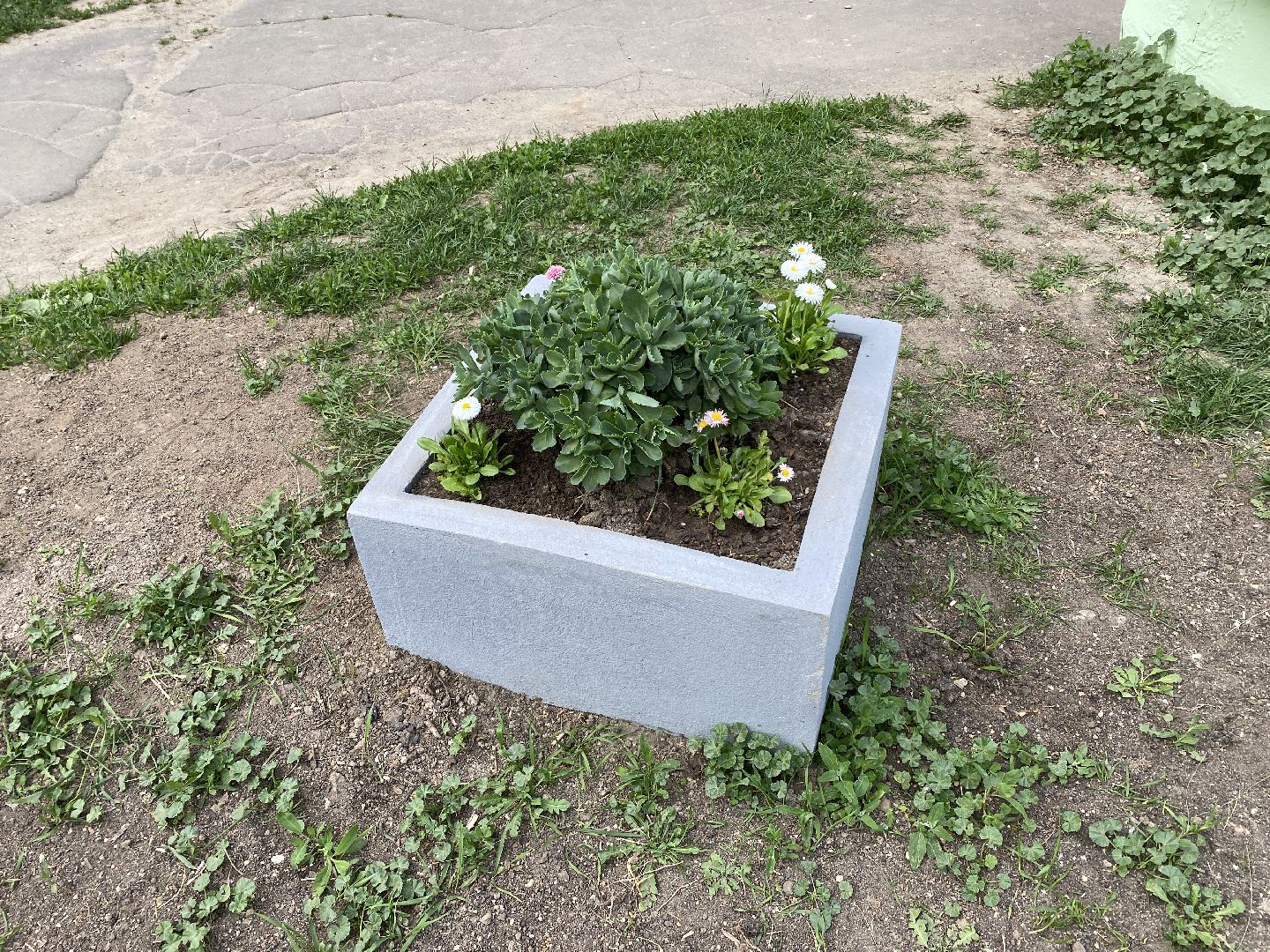 Чехов, клумбы, вазоны, ЖКХ, МКД, жители