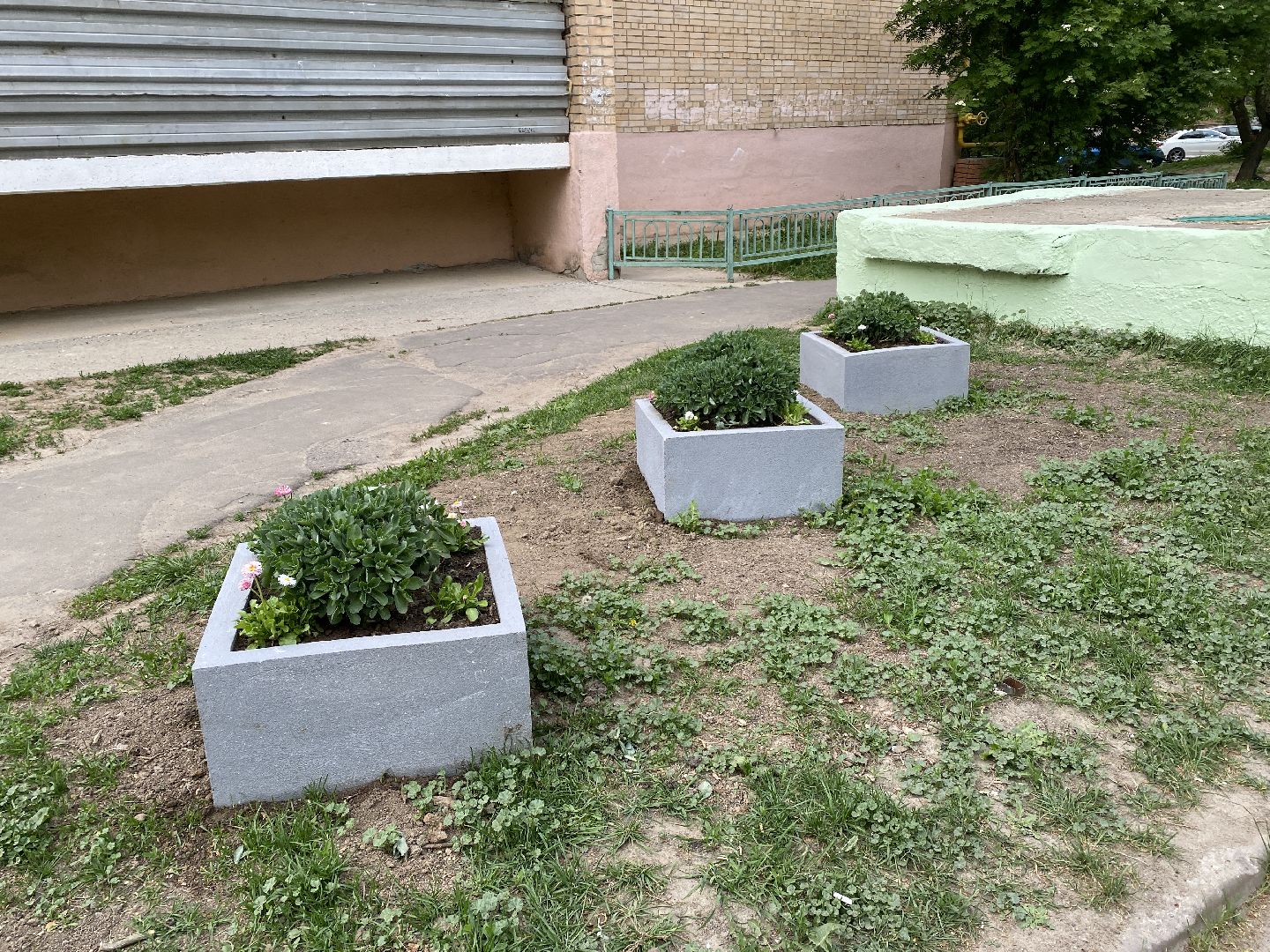 Чехов, клумбы, вазоны, ЖКХ, МКД, жители