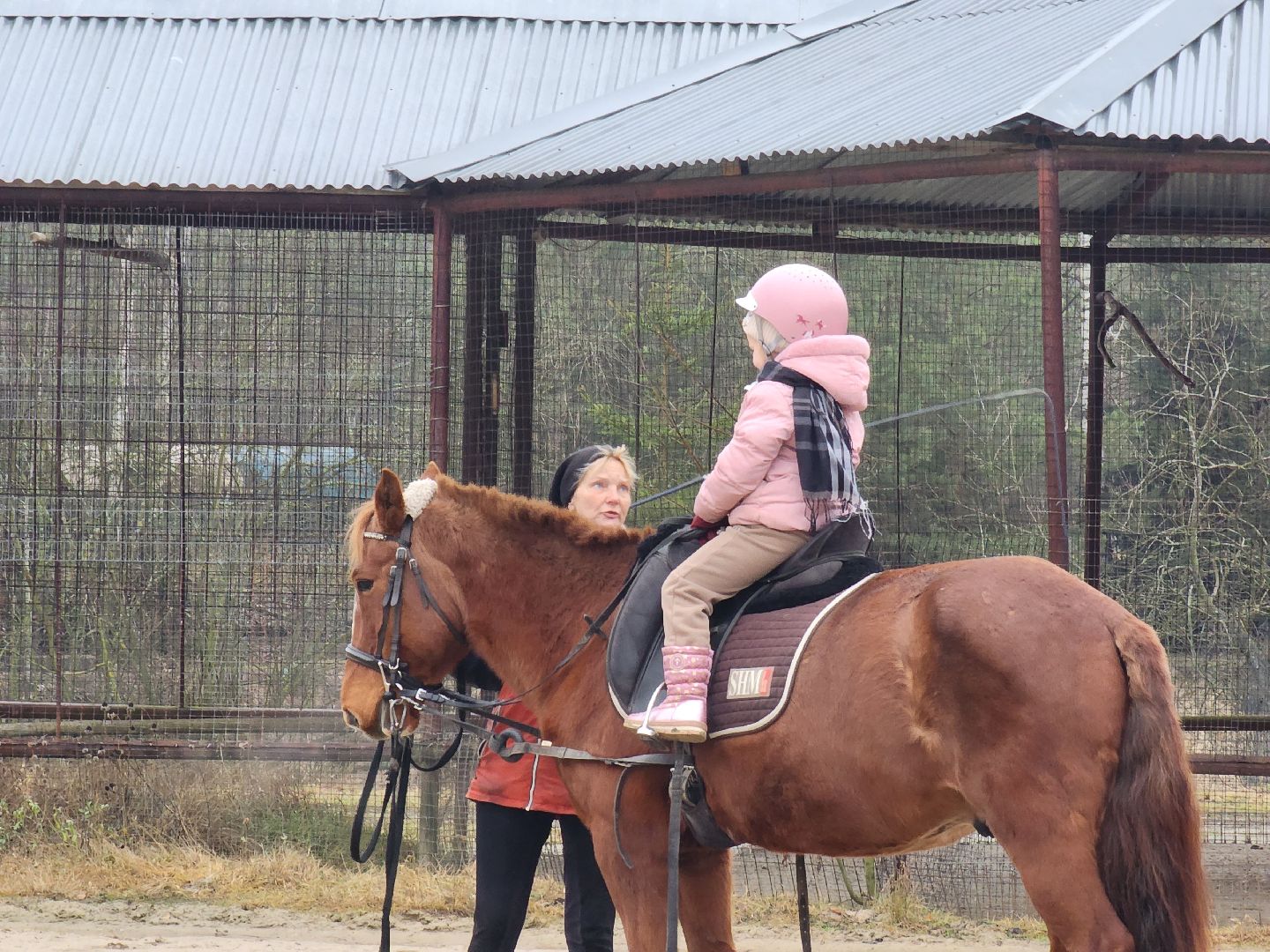 ногинск, конюшня, лошади,  спорт, общество, место для отдыха,