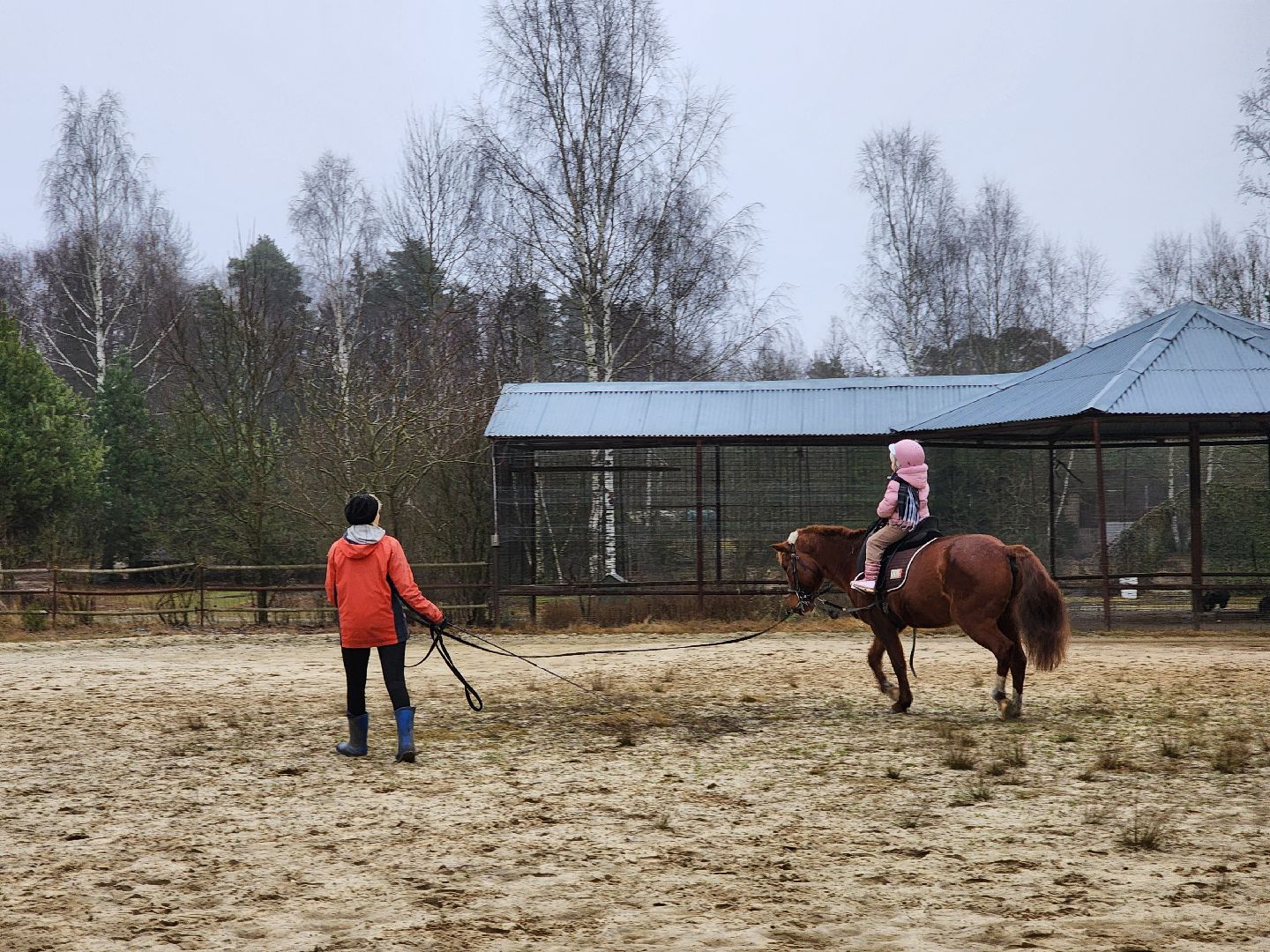 ногинск, конюшня, лошади,  спорт, общество, место для отдыха,