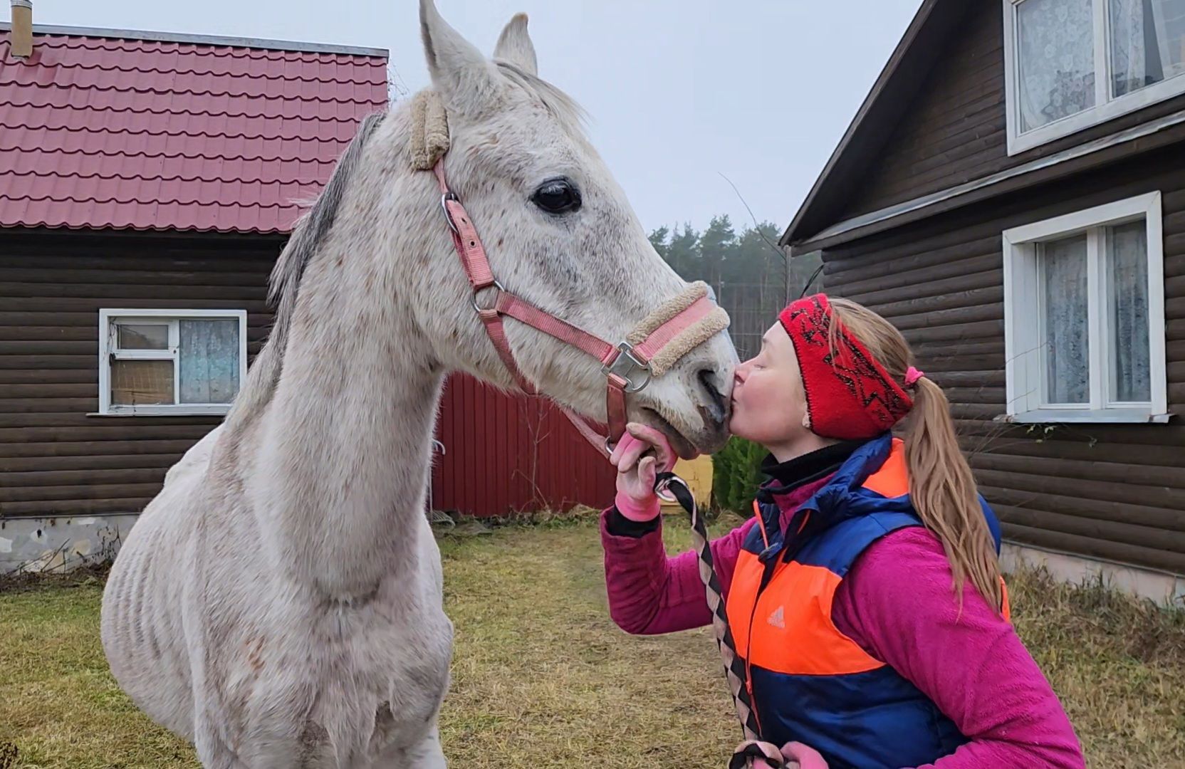 ногинск, конюшня, лошади,  спорт, общество, место для отдыха,