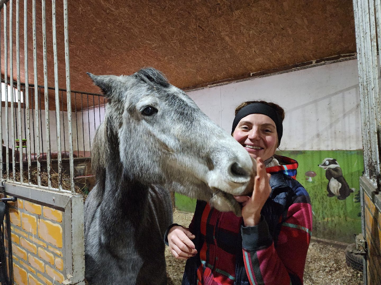 ногинск, конюшня, лошади,  спорт, общество, место для отдыха,
