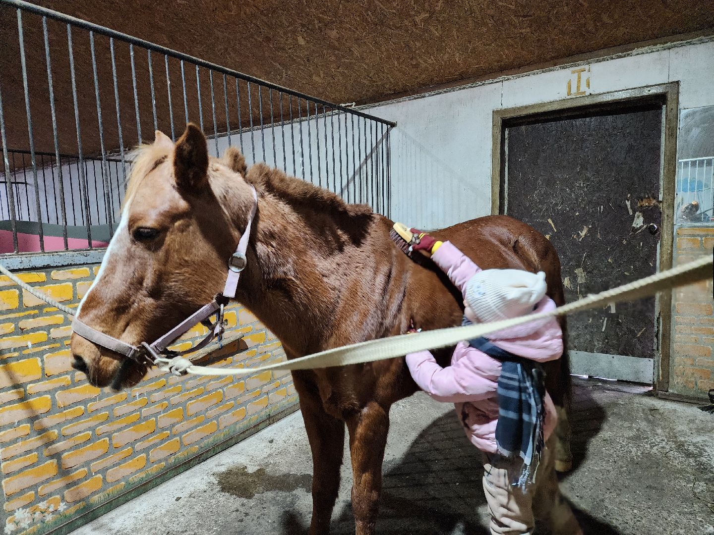 ногинск, конюшня, лошади,  спорт, общество, место для отдыха,