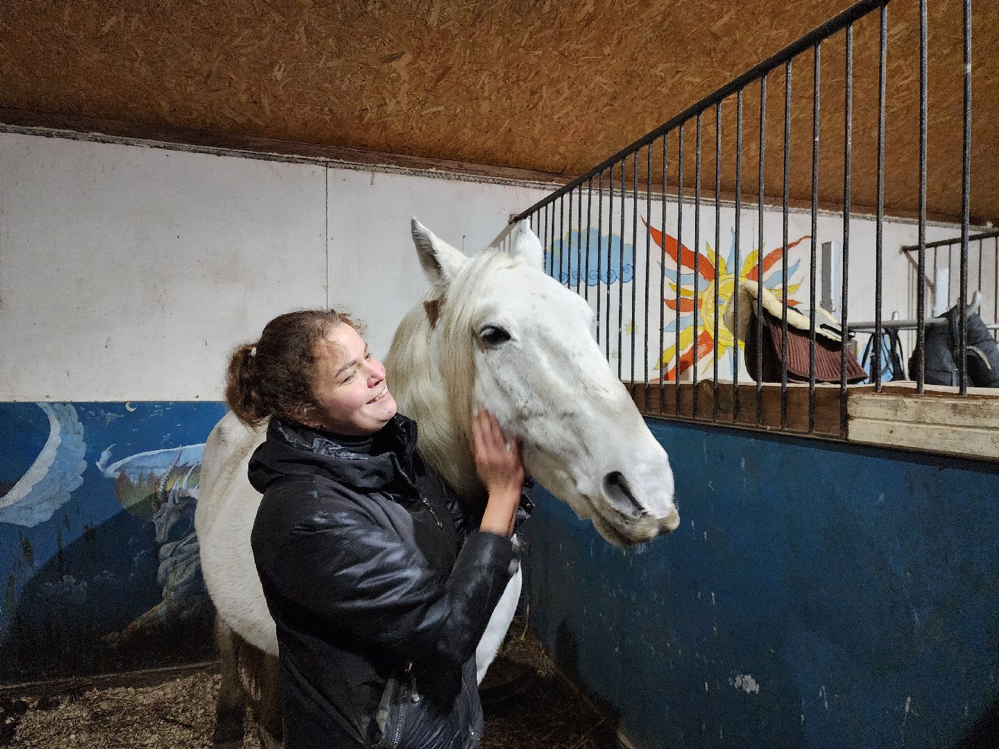 ногинск, конюшня, лошади,  спорт, общество, место для отдыха,