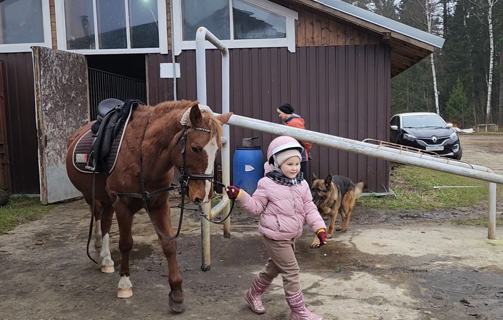 ногинск, конюшня, лошади,  спорт, общество, место для отдыха,