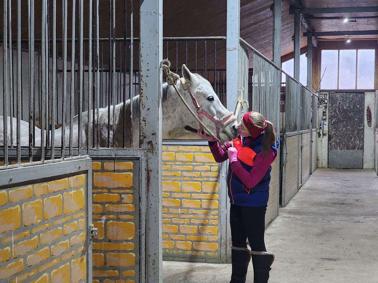 ногинск, конюшня, лошади,  спорт, общество, место для отдыха,