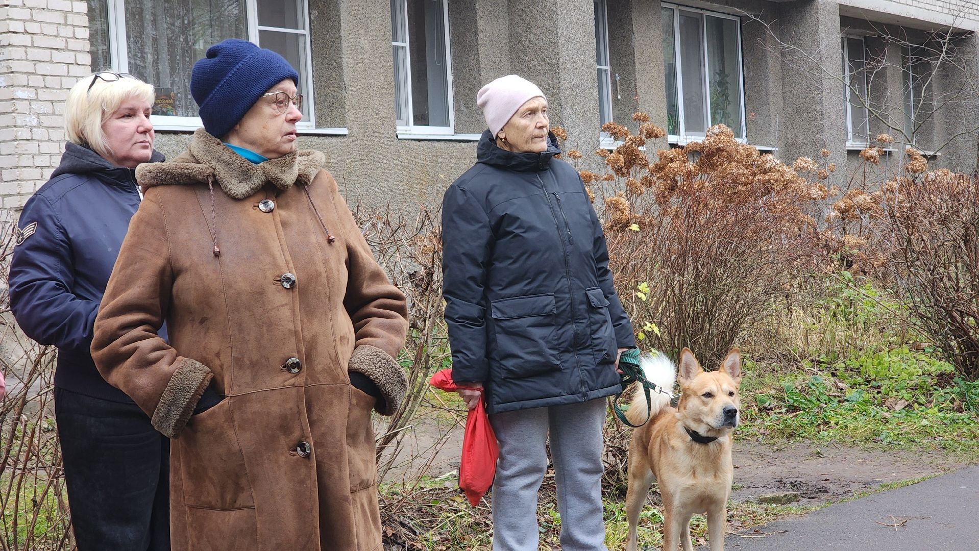 обход города, благоустройство, протвино,