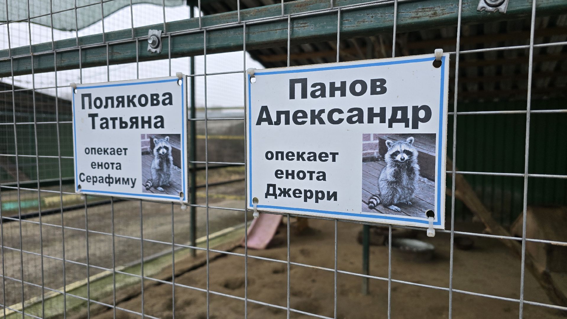 Коломна, контактный зоопарк,