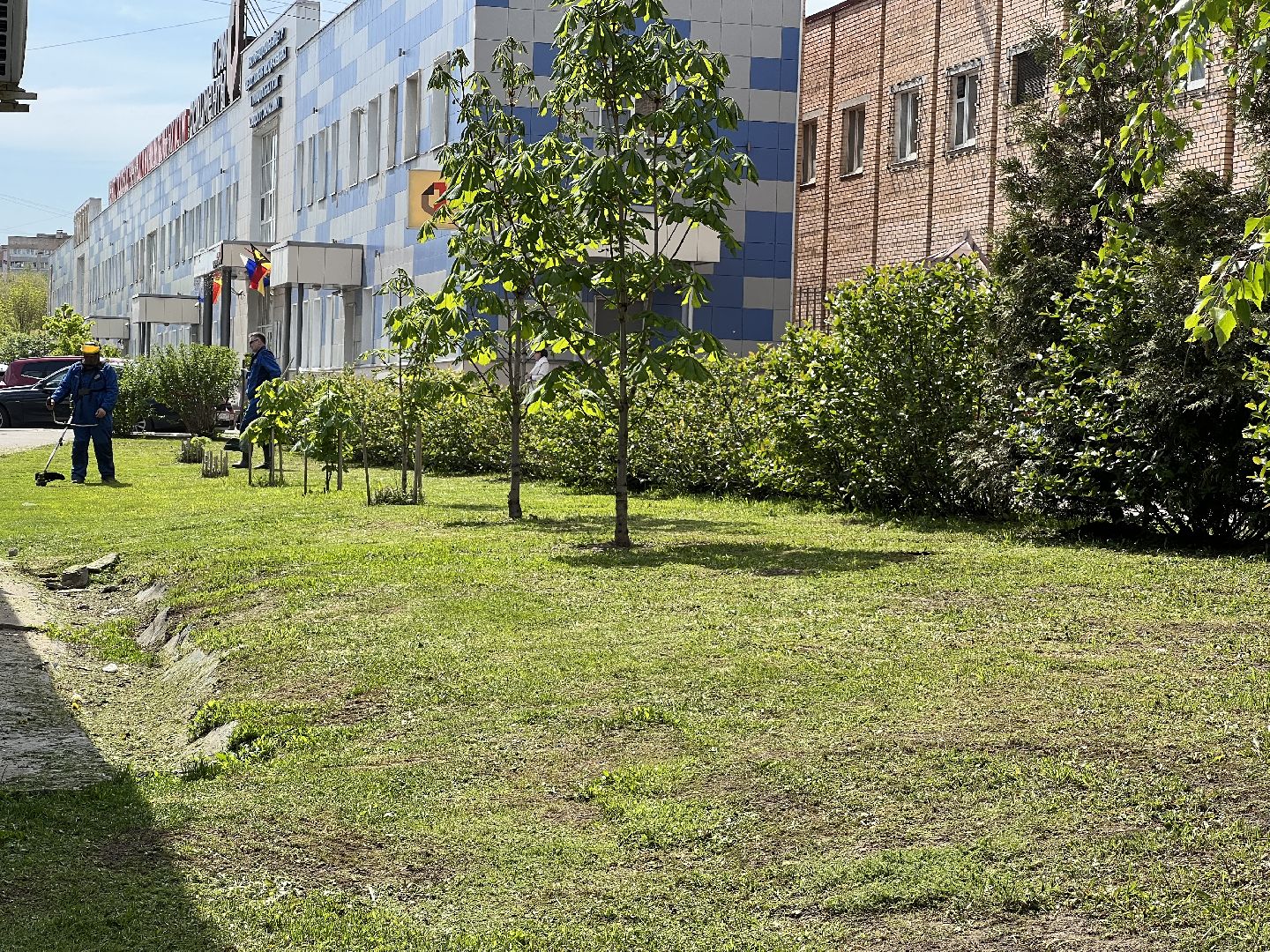 Химки, благоустройство, покос травы, уборка города