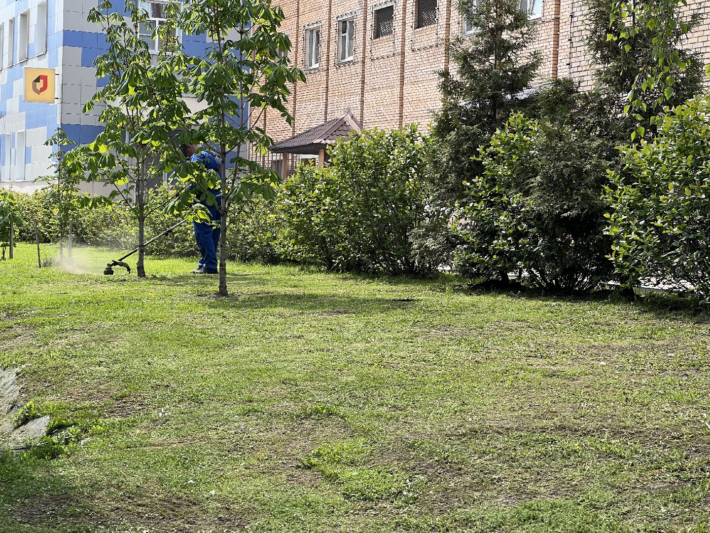 Химки, благоустройство, покос травы, уборка города