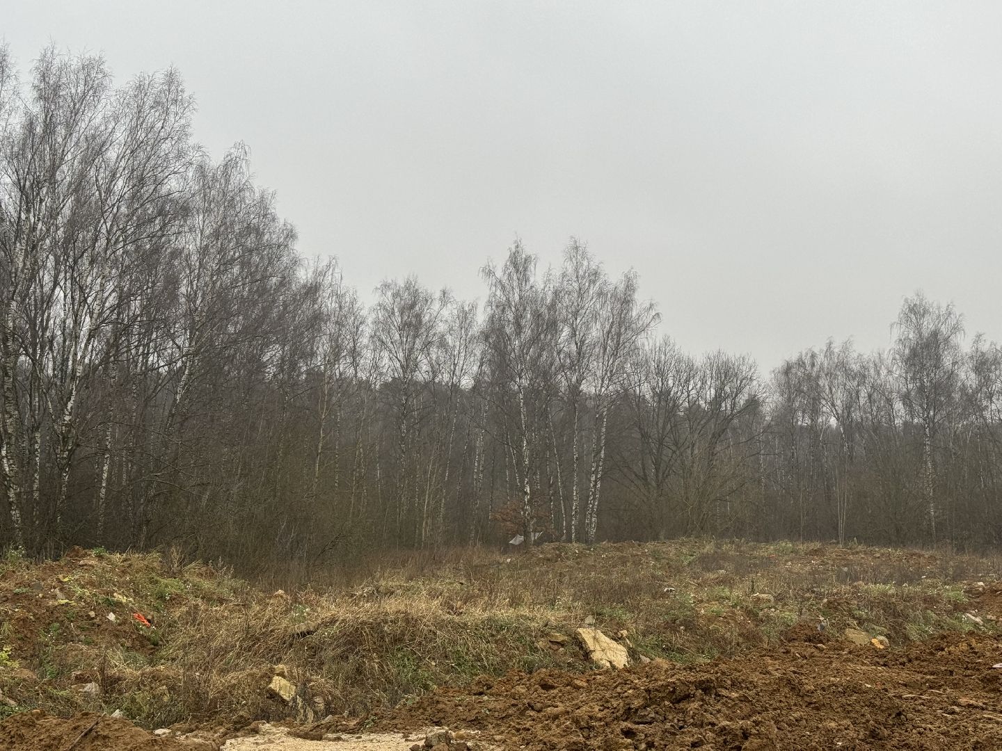 коробовский лесопарк , благоустройство парка , ленинский городской округ, группа компания самолет ,