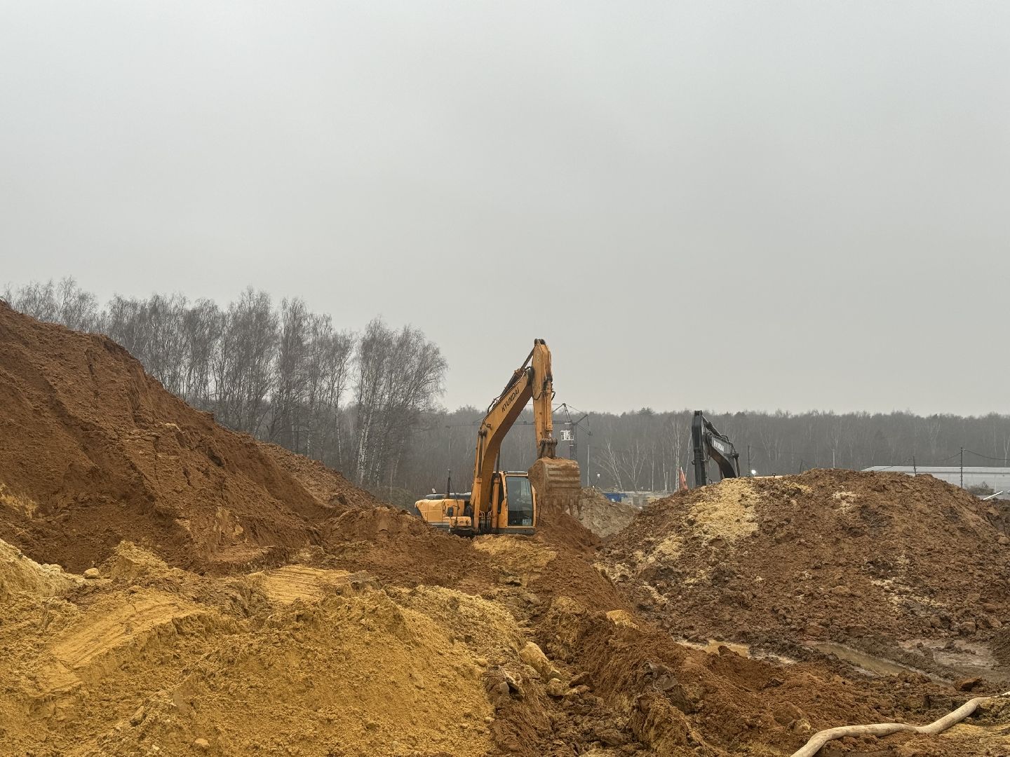 коробовский лесопарк , благоустройство парка , ленинский городской округ, группа компания самолет ,