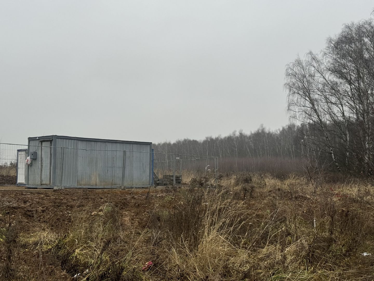 коробовский лесопарк , благоустройство парка , ленинский городской округ, группа компания самолет ,