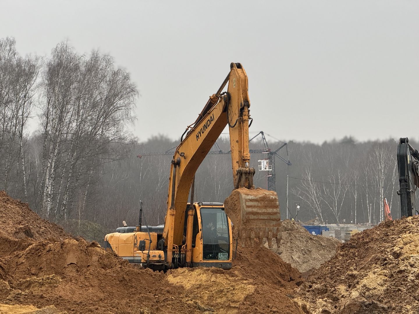 коробовский лесопарк , благоустройство парка , ленинский городской округ, группа компания самолет ,