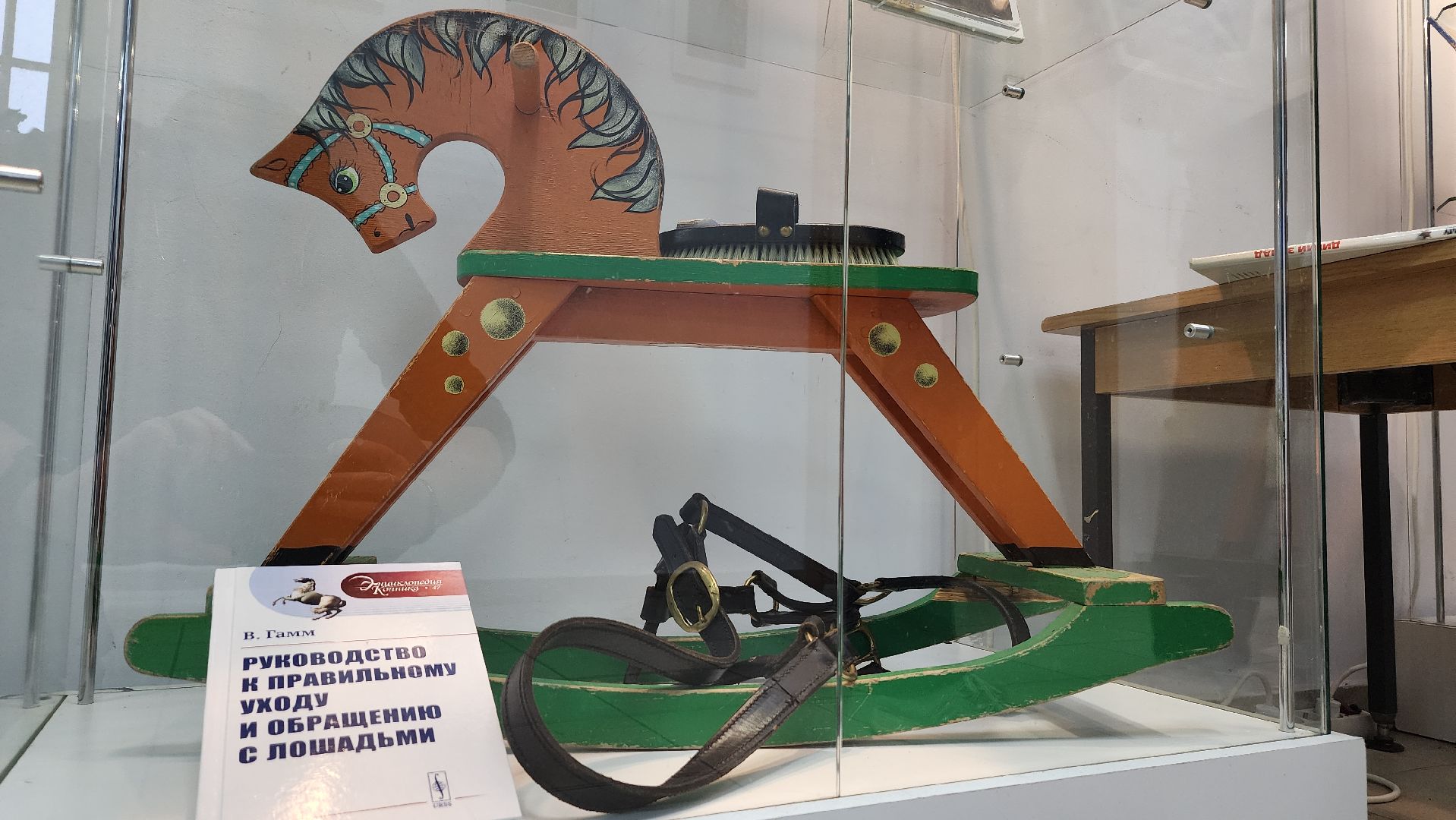 волоколамск, год лошади, библиотека, выставка,