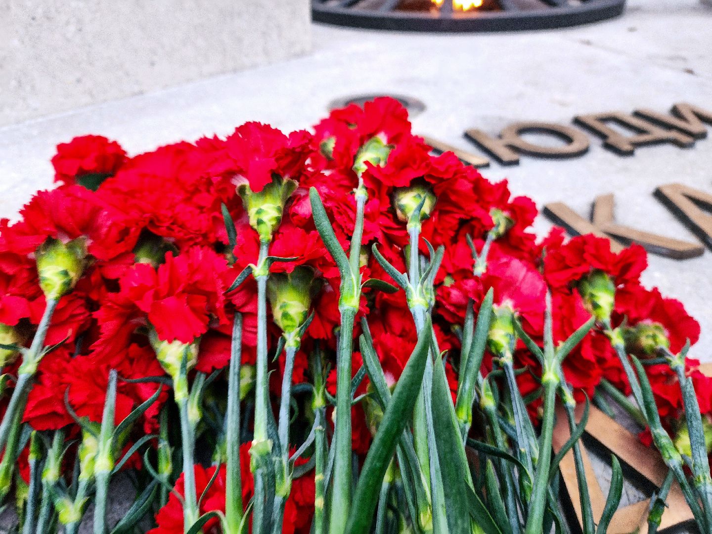 пущино, серпухов, патриотизм,