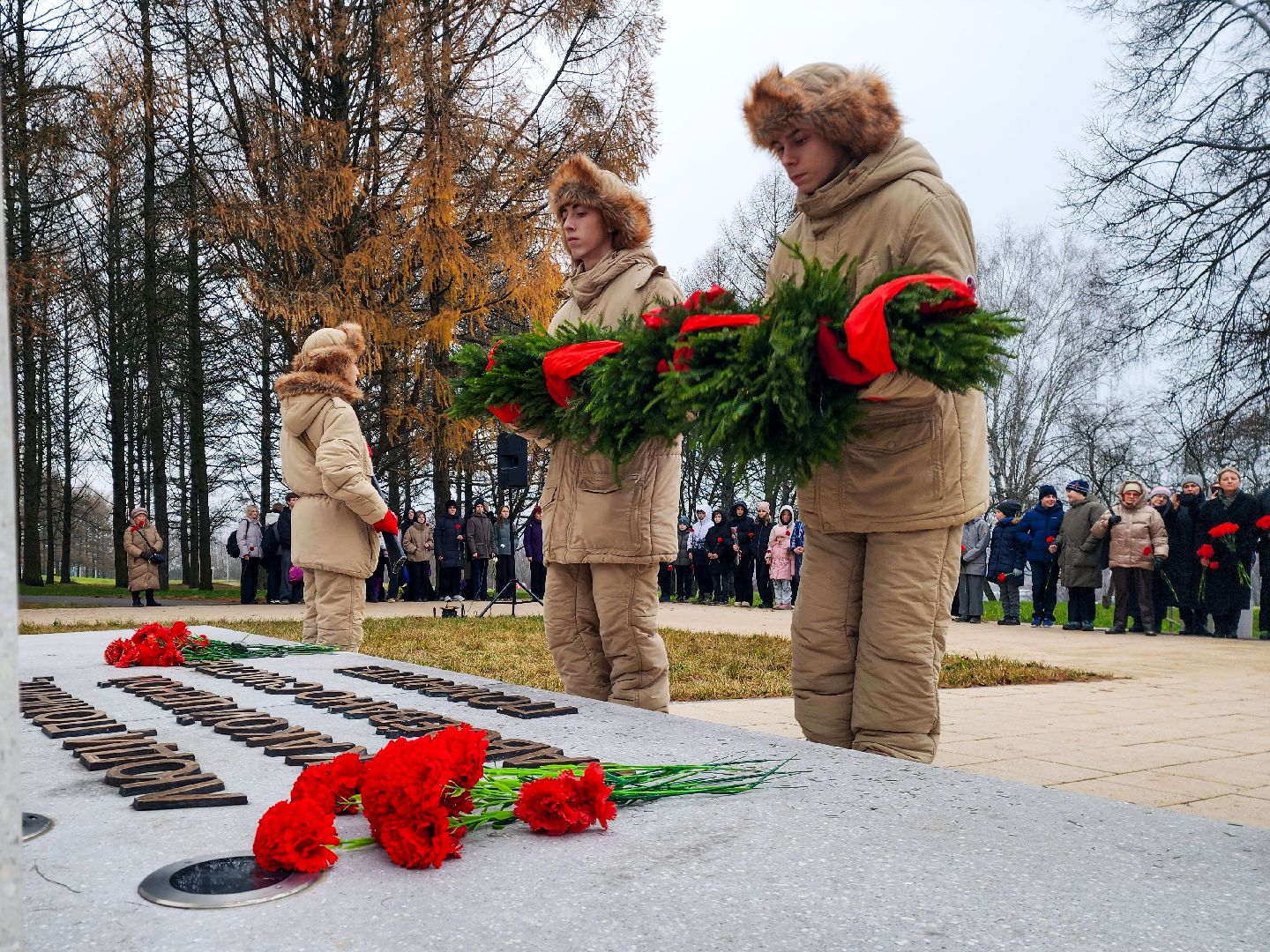 пущино, серпухов, патриотизм,