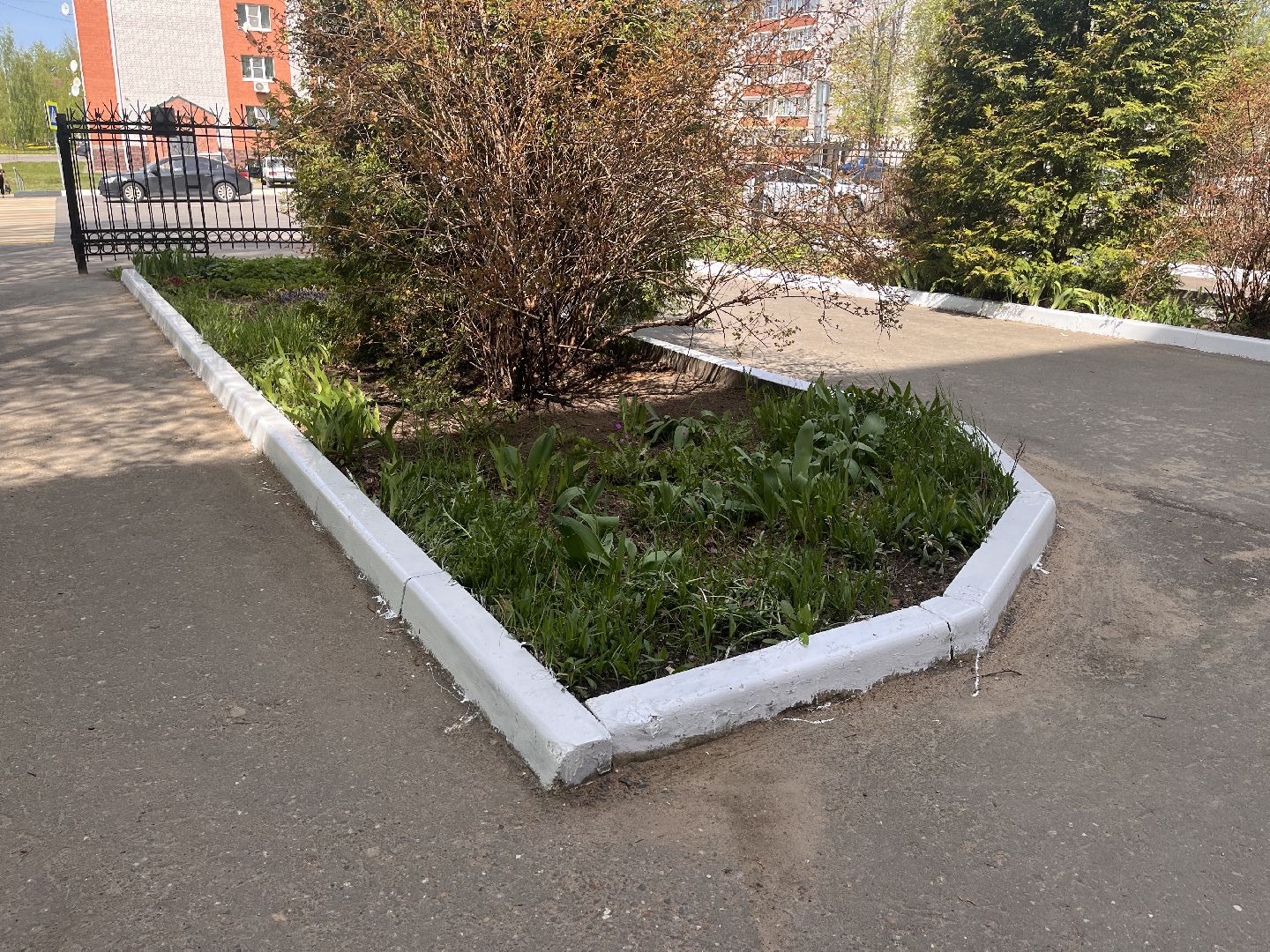 Шаховская, больница, ремонт