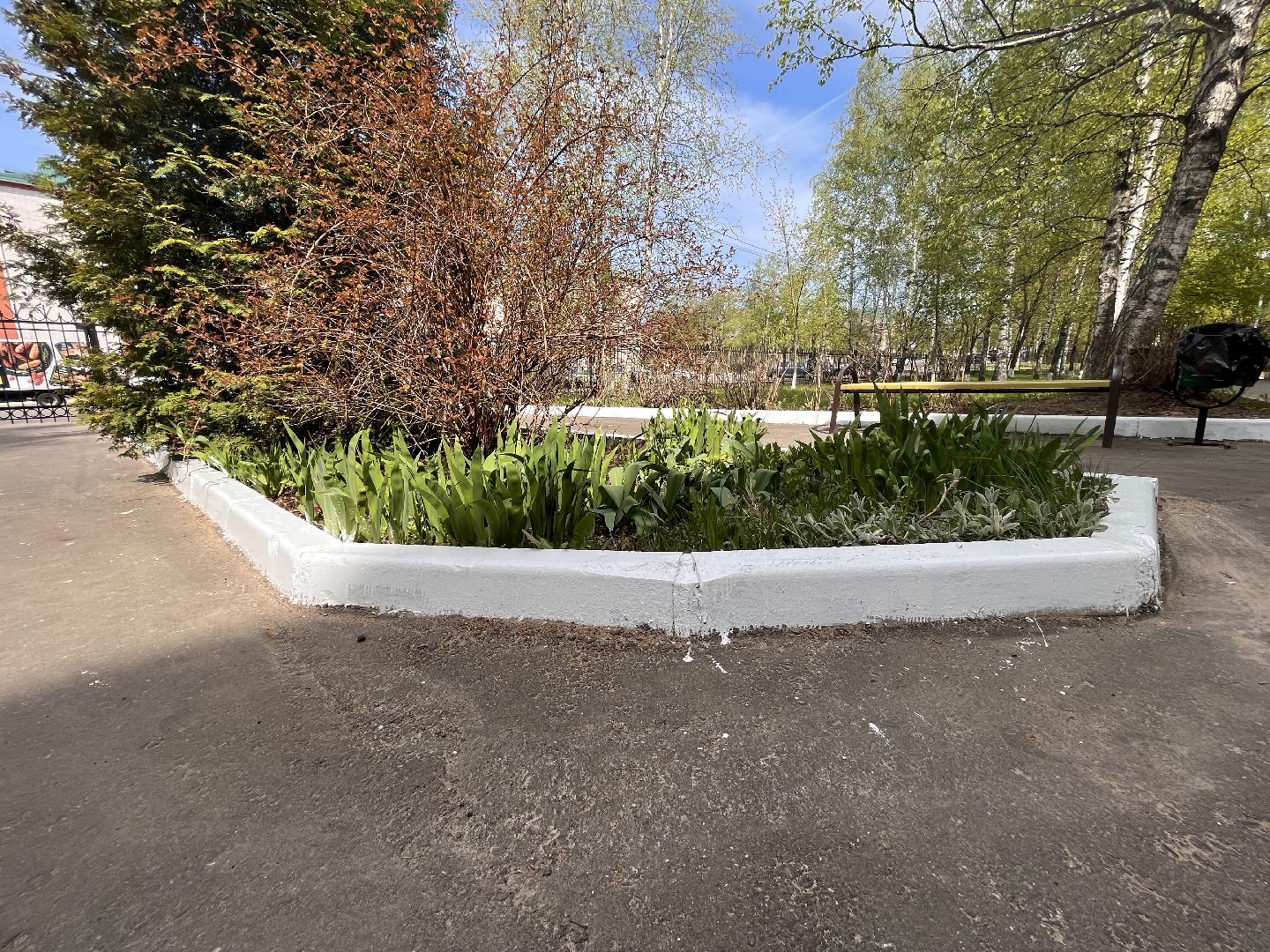 Шаховская, больница, ремонт