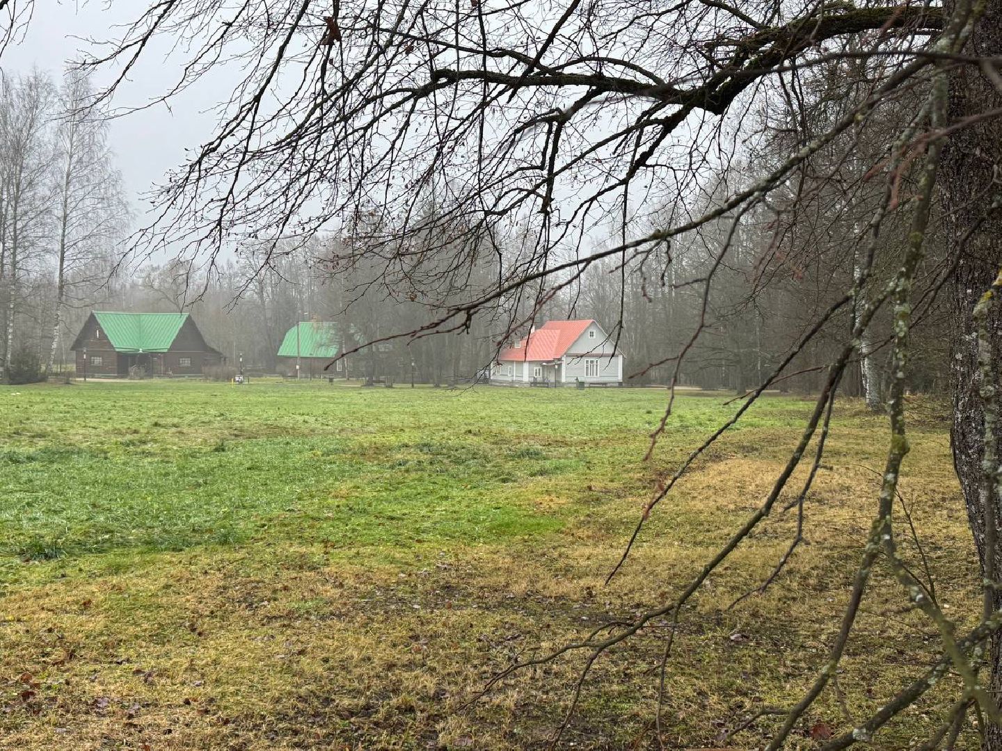 Абрамцево, Андрей Владимирович Васнецов, Поленовская дача,