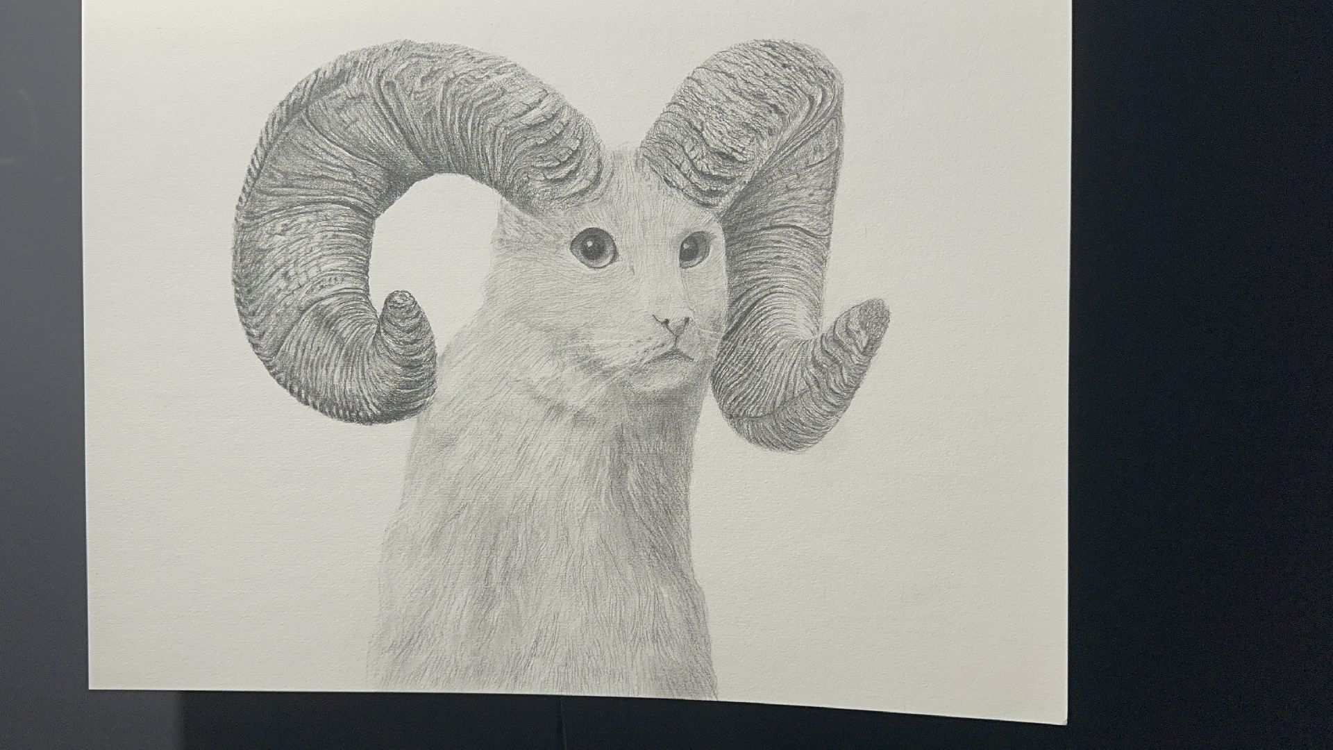 художественная выставка, домодедово, картины,