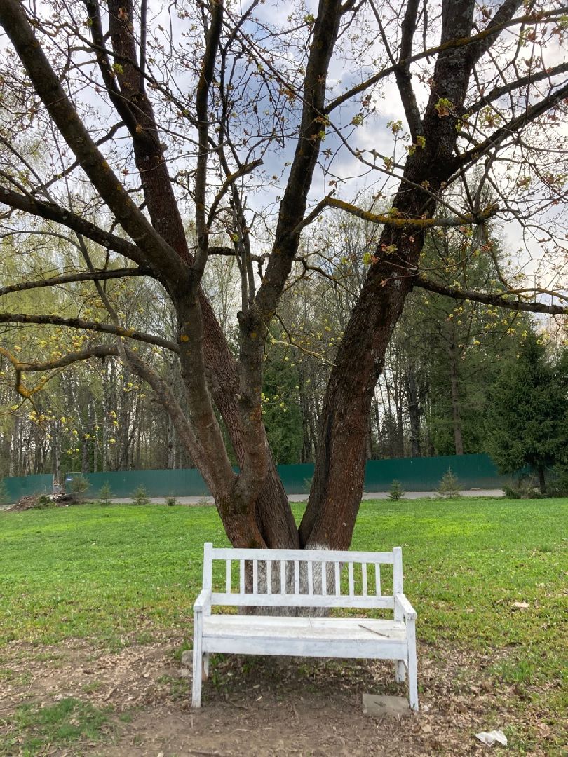 Солнечногорск, благоустройство, Спасская церковь, голосование, ЦМИС