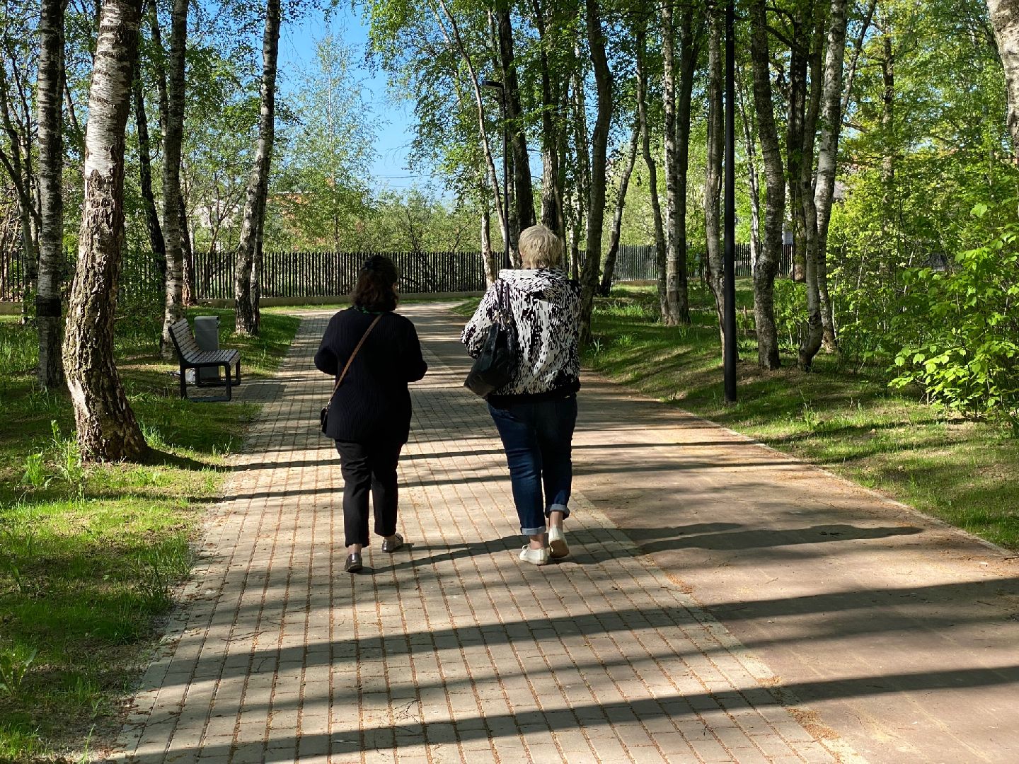 Домодедово, парк Взлет,