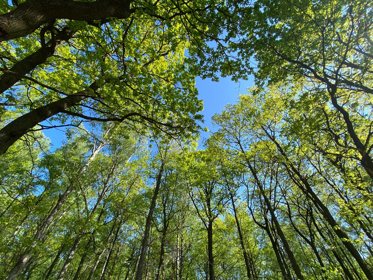 Домодедово, парк Взлет,