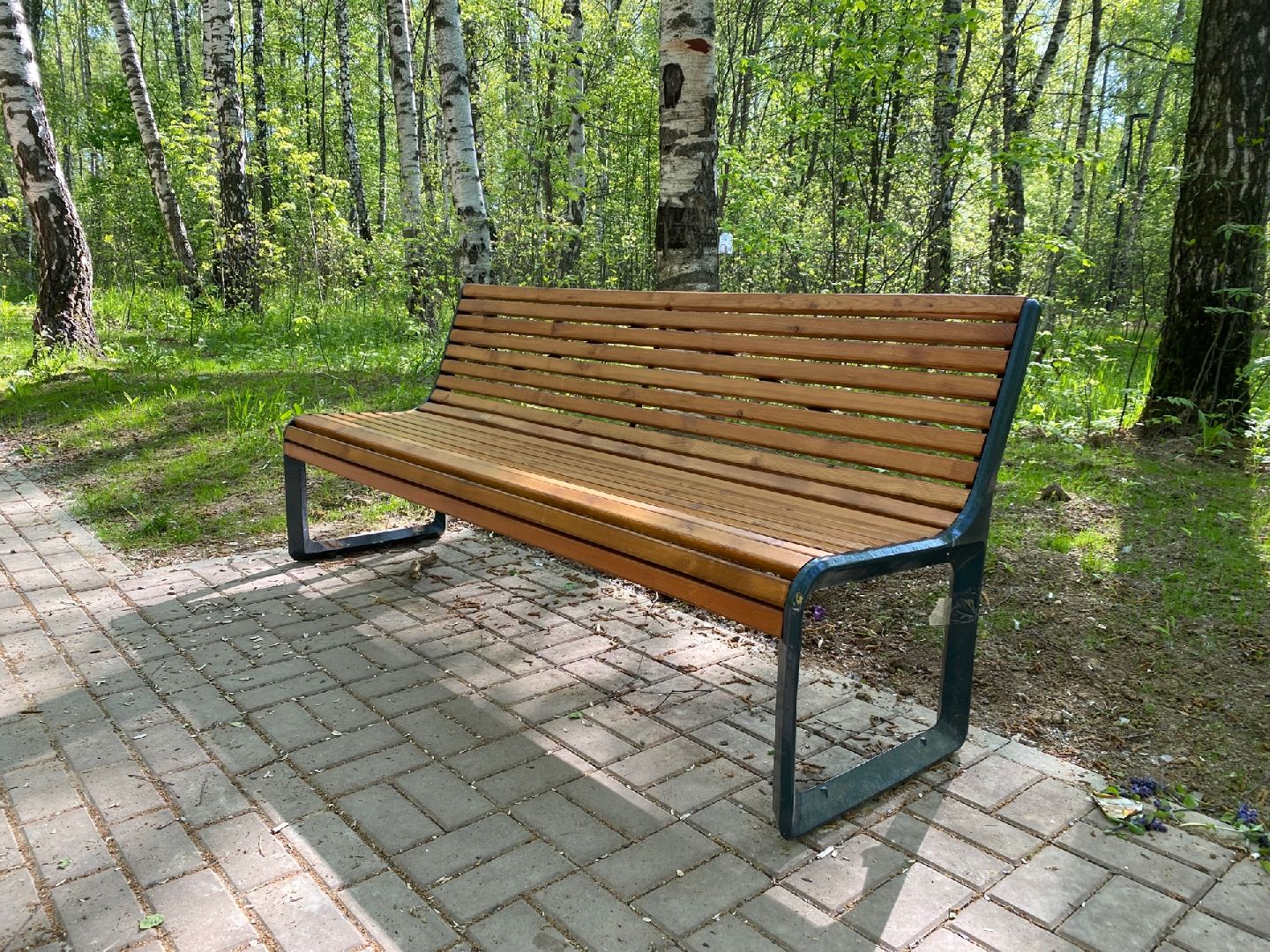 Домодедово, парк Взлет,