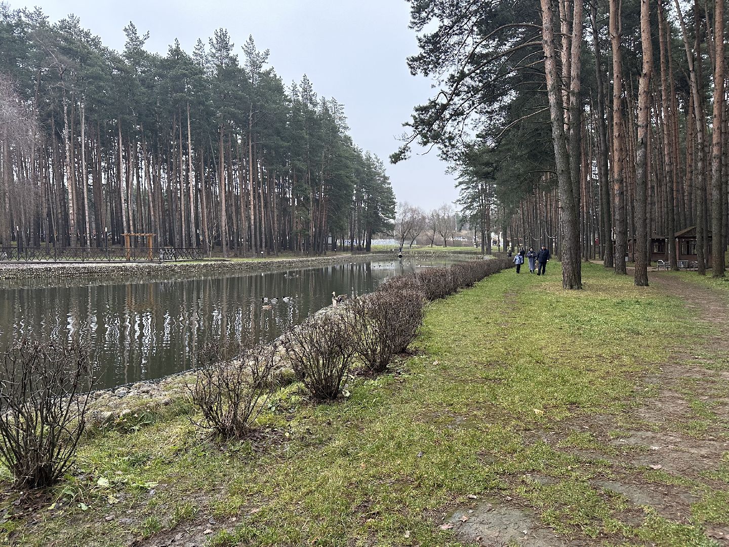 парки, домодедово,