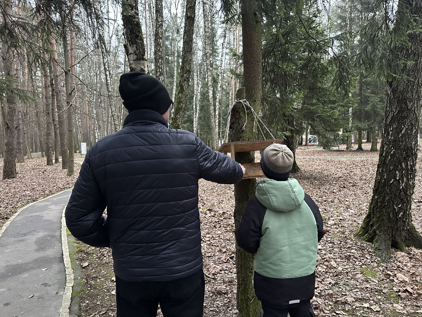 парки, домодедово,