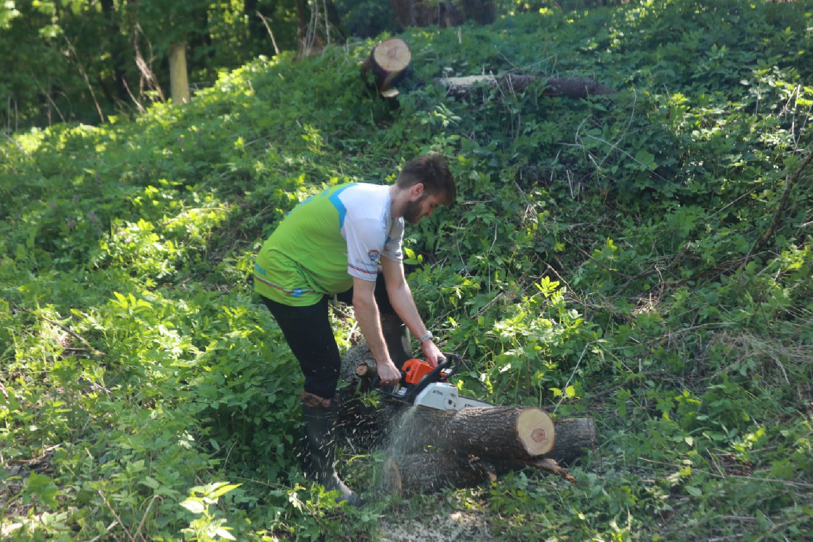 Пущино, волонтеры, субботник