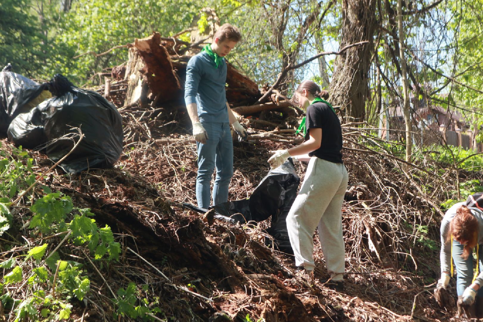 Пущино, волонтеры, субботник