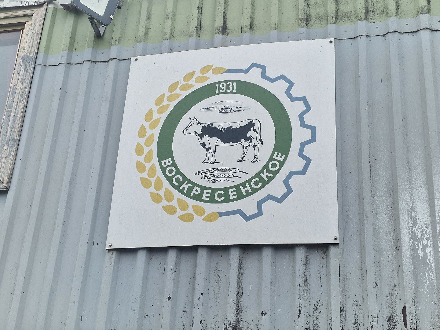 воскресенск, племенное хозяйство, корова-рекордсменка,