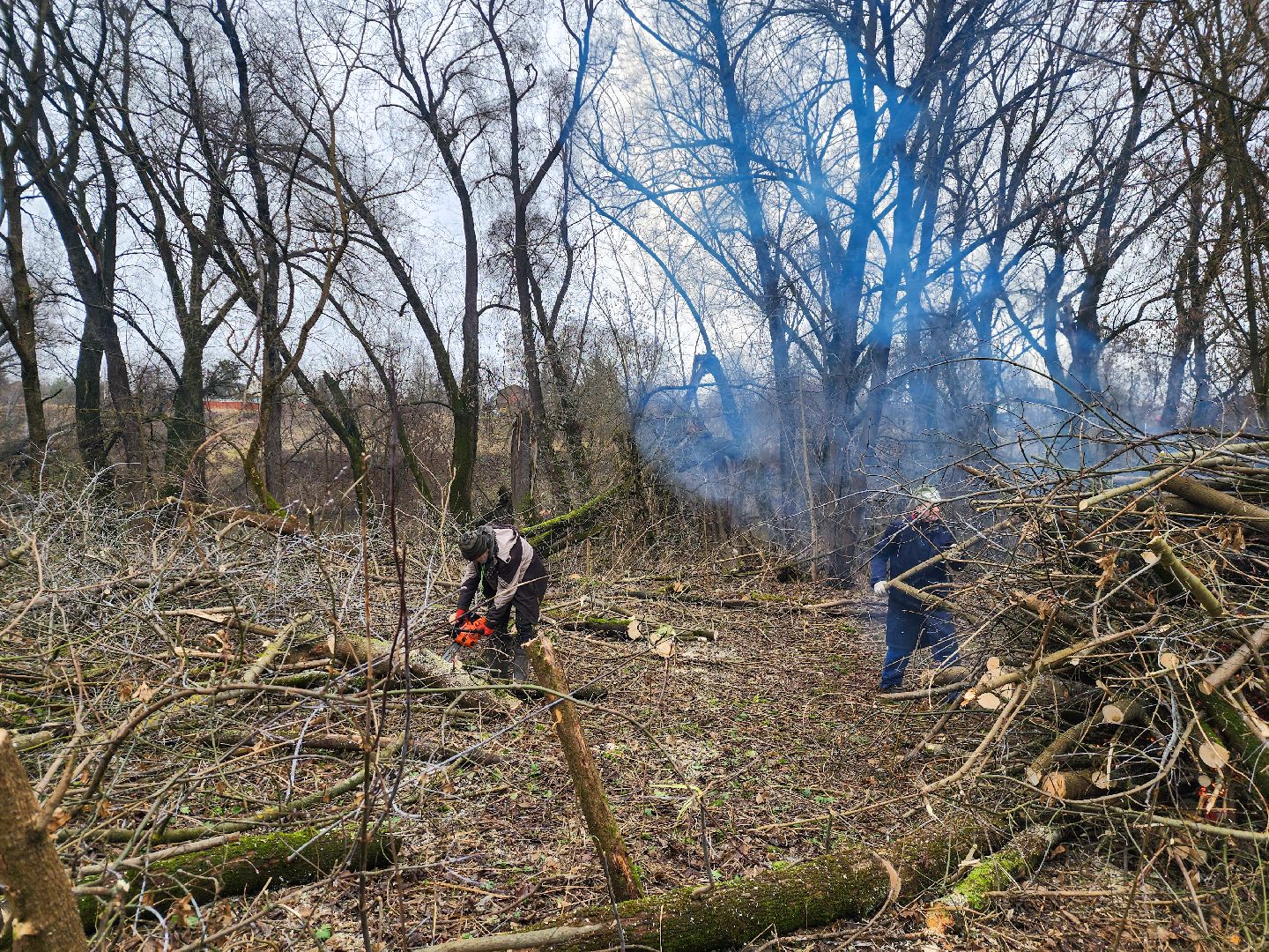 Подольск, Плещеево, Волонтеры, Усадьба,