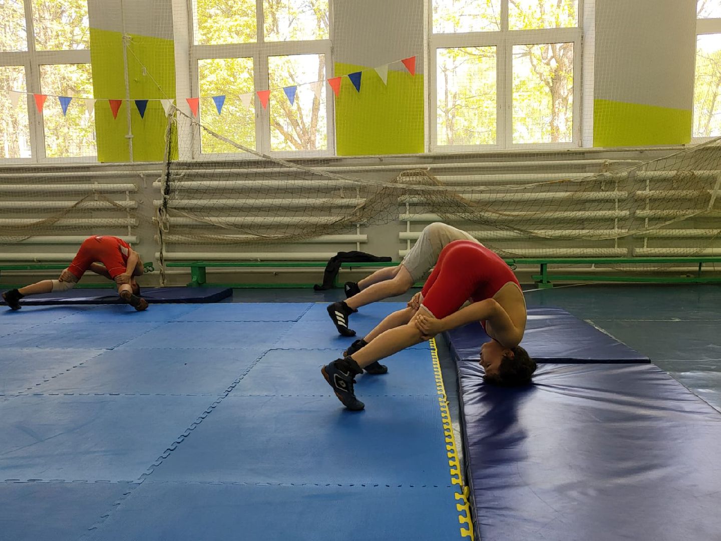 Химки, спорт, спортивный клуб, спортивная секция, борьба