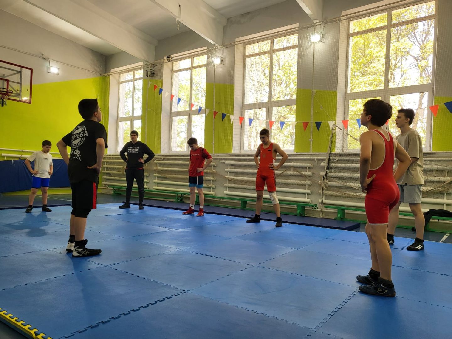 Химки, спорт, спортивный клуб, спортивная секция, борьба